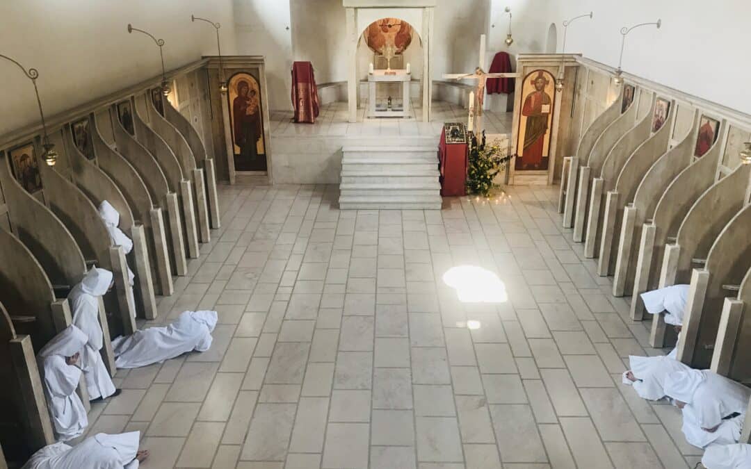 Waarom Ignatius van Loyola beslist geen koekoek is – Ervaringsbericht van Nikolaas Sintobin sj