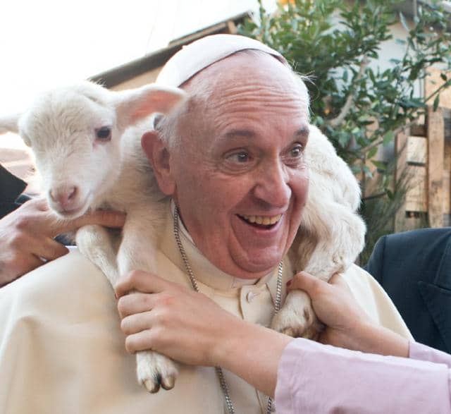 Paus Franciscus vraagt u gebed voor twee bijzondere intenties