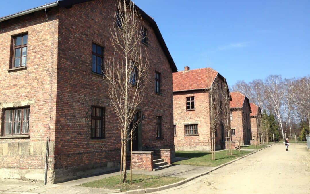 Een schrikwekkend  banaal museum