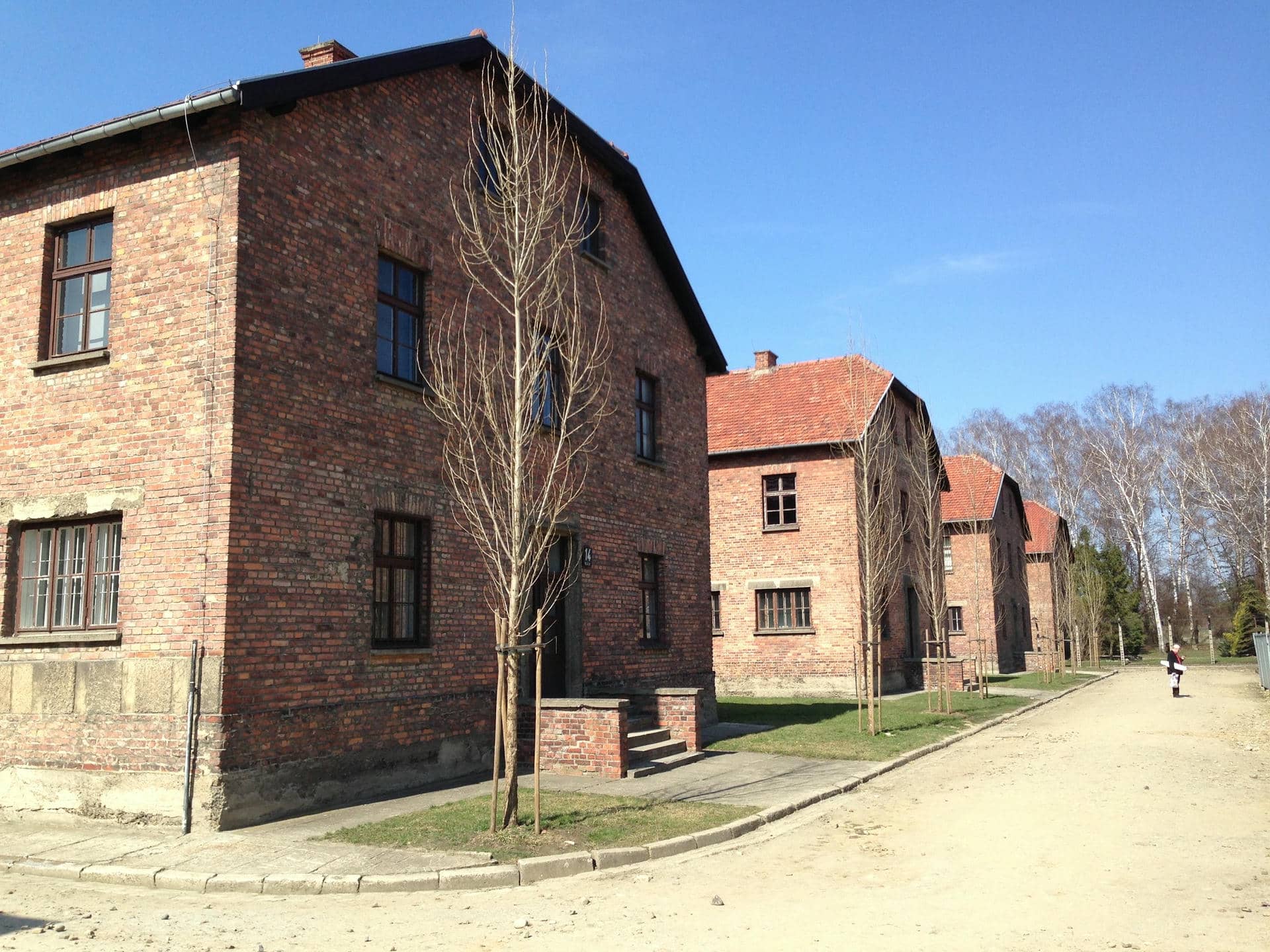 Auschwitz-17