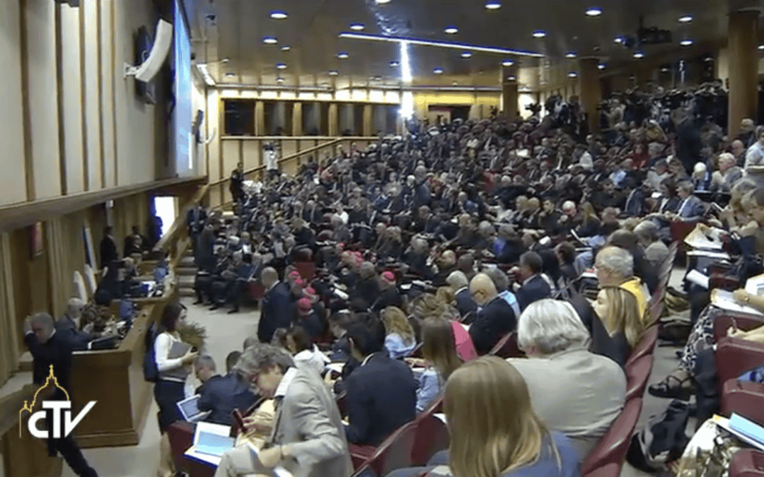Rechstreekse beelden voorstelling «Laudato si»