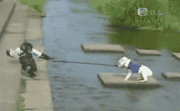 Als het geldt voor een hond, hoeveel temeer dan voor een mens