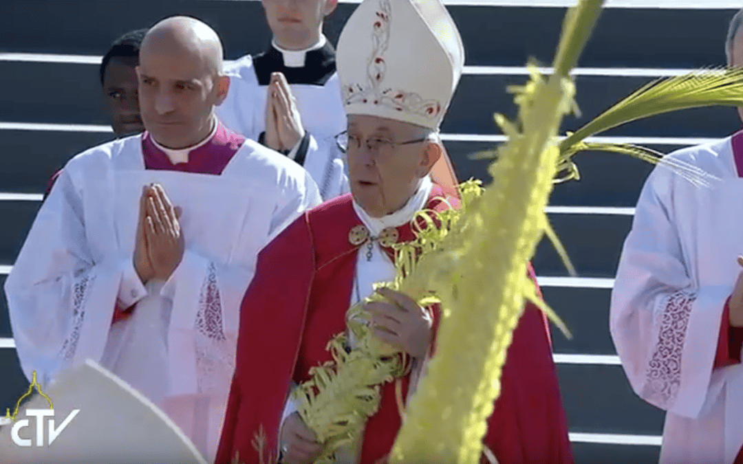 Vier Palmzondag met Paus Franciscus: rechtstreeks uit Rome