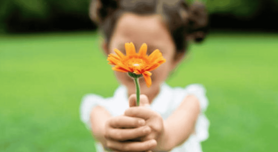 Droefheid als springplank naar dankbaarheid – Help, het gaat niet goed met mij (8/13)