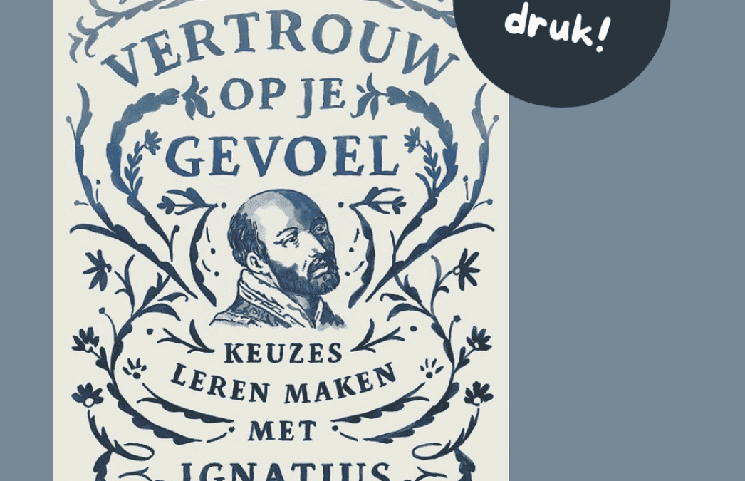 Leer zelf onderscheiden waar het in jouw leven op aankomt met «Vertrouw op je gevoel» van Nikolaas Sintobin sj – 8ste druk