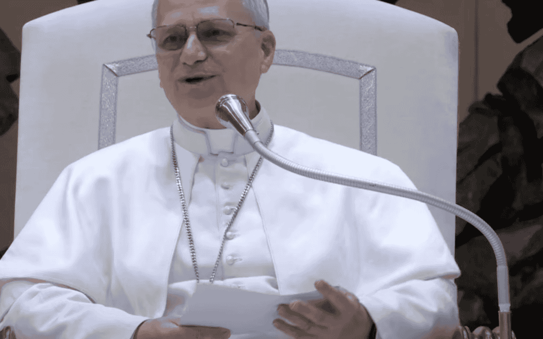 Kardinaal Cupich: waarom we paus Leo gekozen hebben – interview