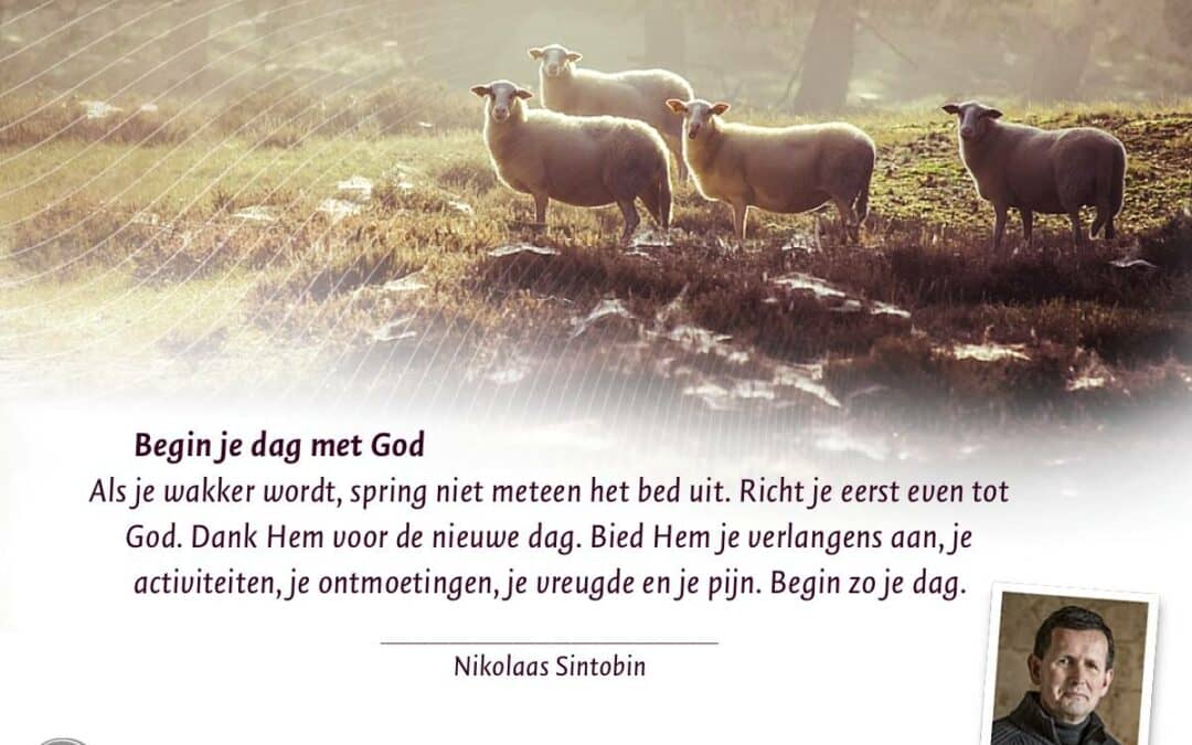 Hoe je dag kort, krachtig én stil beginnen: stiltetip van Nikolaas Sintobin sj