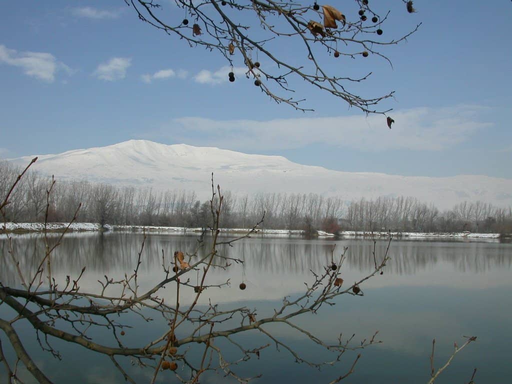 Taanayel