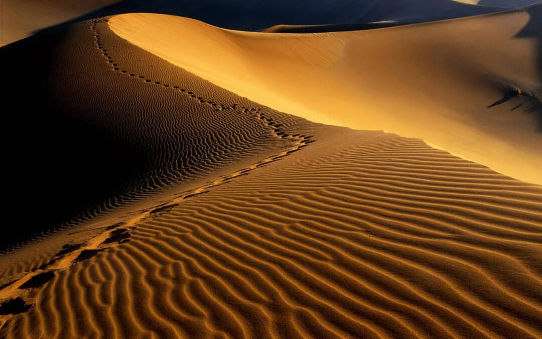 Waarom je beter lijkt op een woestijn – een ervaringsbericht
