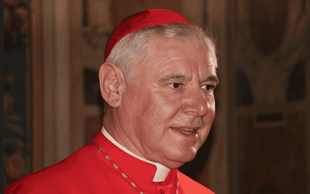 Kardinaal Müller, prefect van de geloofsleer,  legt uit hoe Paus Franciscus de wereldopinie tav de Kerk veranderde