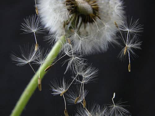 Anonimiteit als springplank (4/6)