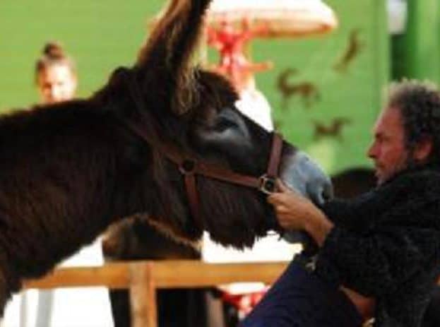 Het verschil tussen koppigheid en tot het uiterste gaan