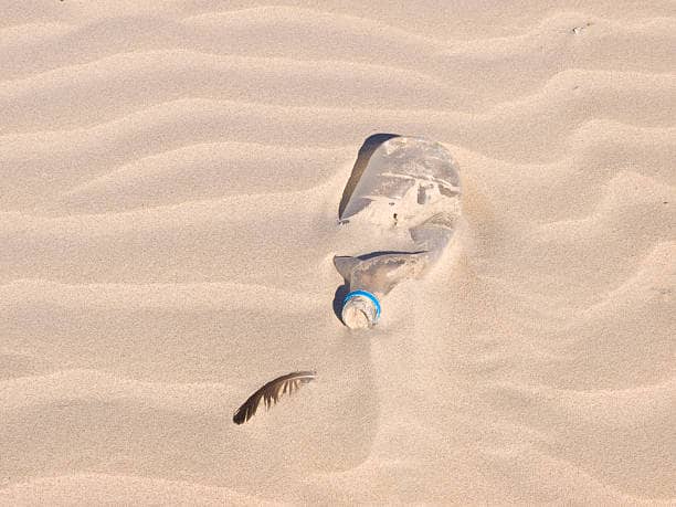 Wadi Rum: over woestijnbloemen die nooit verwelken