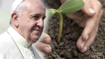 Bedenkingen van een jezuïet, theoloog en expert in ecologie, bij de encycliek “Laudato si”