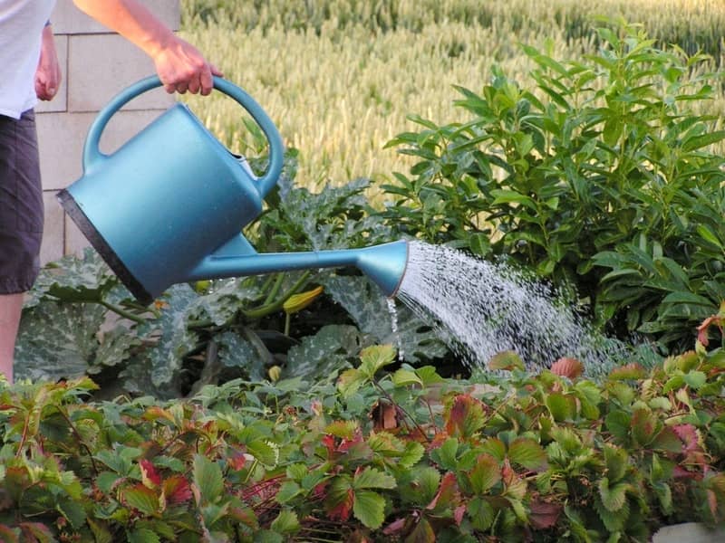In de leer bij de tuinier om zonde te bestrijden