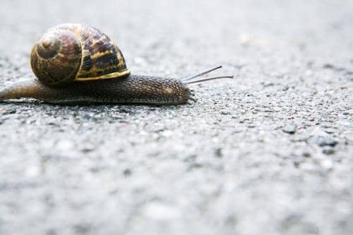 Waarom sommige mensen dubbel verdienstelijk zijn